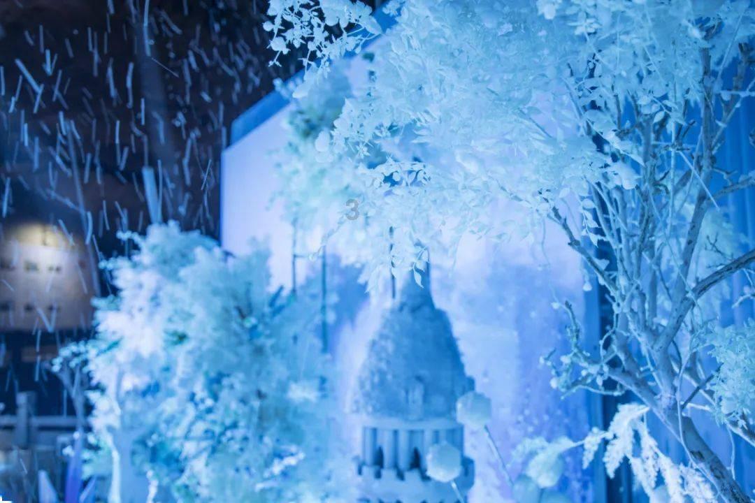 春雨直播app